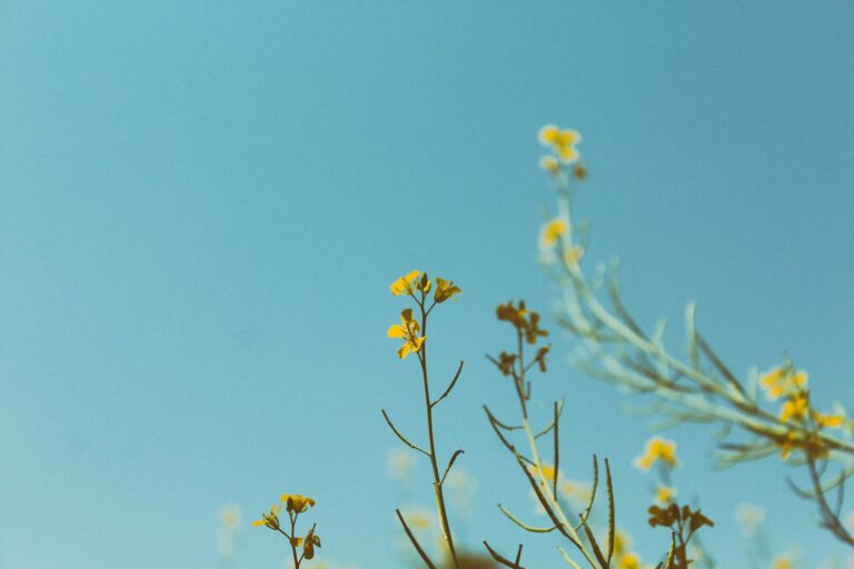 larm-rmah-1cvEeuJKYto-unsplash