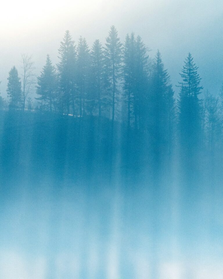 marcel-gross-marcelgross-ch-iw4tOALr-PM-unsplash