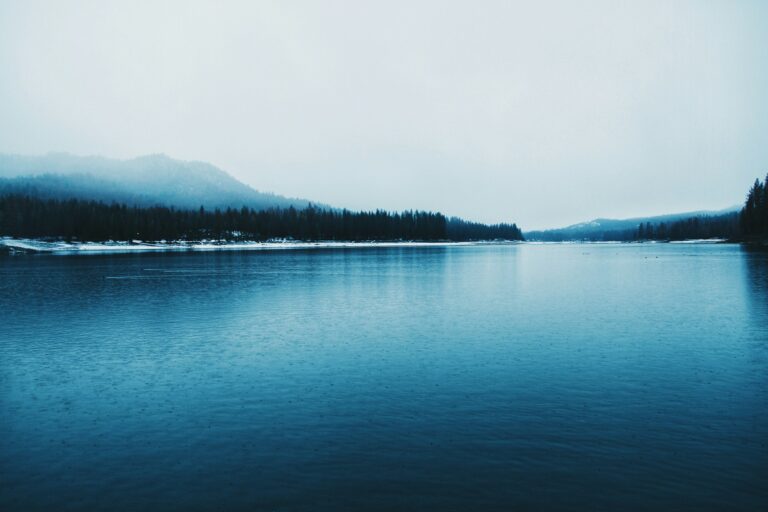 montylov-YxdozKqAPjc-unsplash