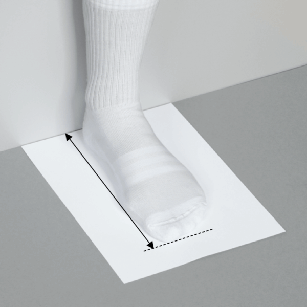 sizes